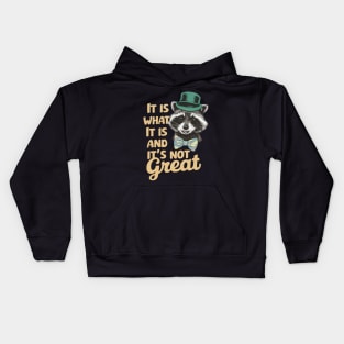 It Is What It Is And It's Not Great. Funny Raccoon Kids Hoodie